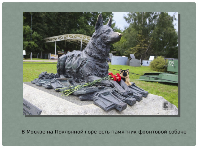 В Москве на Поклонной горе есть памятник фронтовой собаке