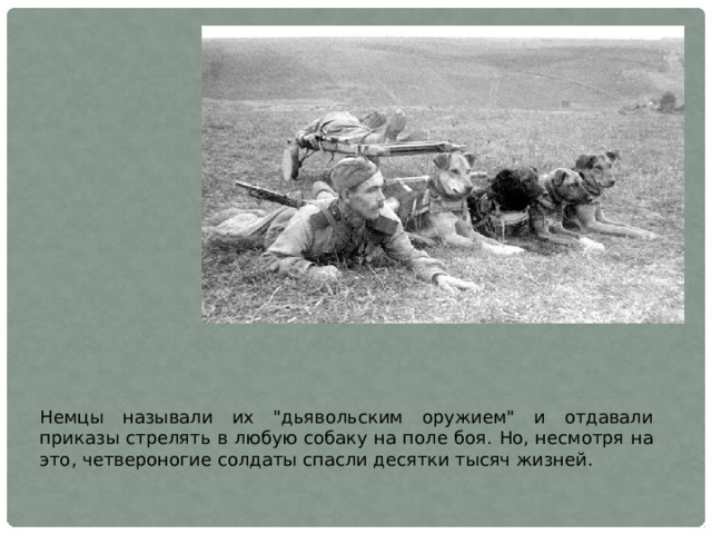 Немцы называли их 