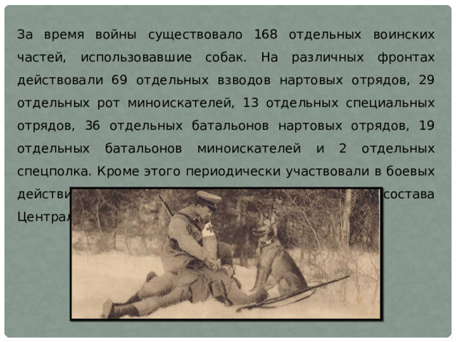 За время войны существовало 168 отдельных воинских частей, использовавшие собак. На различных фронтах действовали 69 отдельных взводов нартовых отрядов, 29 отдельных рот миноискателей, 13 отдельных специальных отрядов, 36 отдельных батальонов нартовых отрядов, 19 отдельных батальонов миноискателей и 2 отдельных спецполка. Кроме этого периодически участвовали в боевых действиях 7 учебных батальонов курсантского состава Центральной школы служебного собаководства.