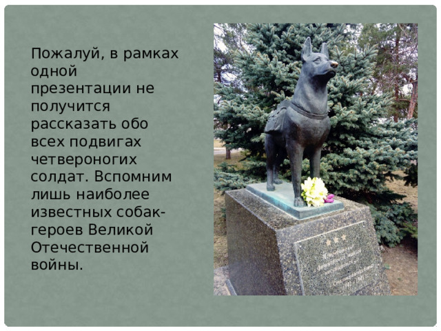 Пожалуй, в рамках одной презентации не получится рассказать обо всех подвигах четвероногих солдат. Вспомним лишь наиболее известных собак-героев Великой Отечественной войны.