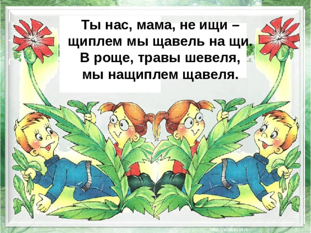 Ты нас, мама, не ищи – щиплем мы щавель на щи. В роще, травы шевеля, мы нащиплем щавеля.