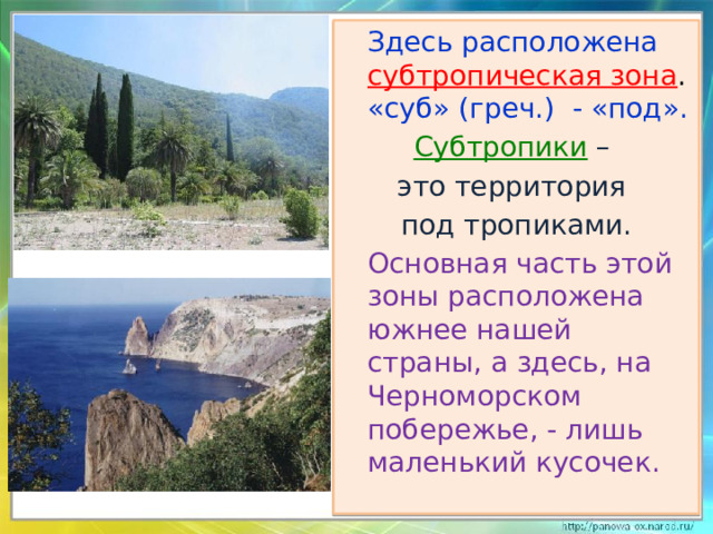 Здесь расположена субтропическая зона . «суб» (греч.) - «под». Субтропики – это территория под тропиками.  Основная часть этой зоны расположена южнее нашей страны, а здесь, на Черноморском побережье, - лишь маленький кусочек.
