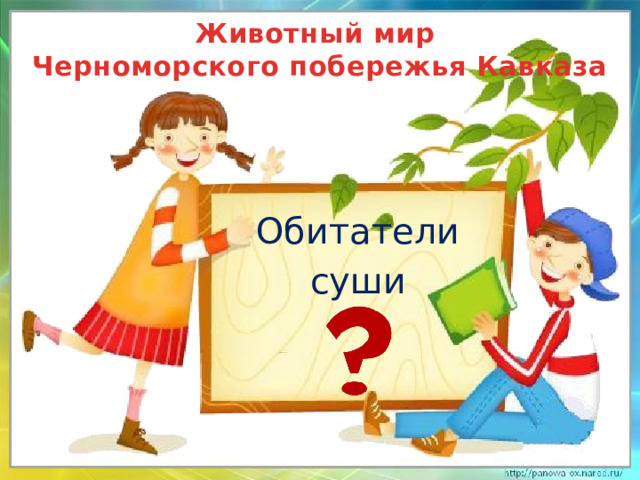 Животный мир  Черноморского побережья Кавказа Обитатели суши