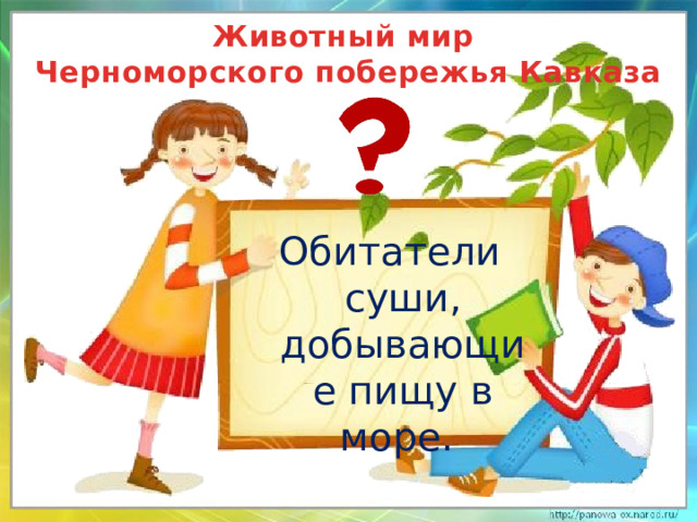 Животный мир  Черноморского побережья Кавказа Обитатели суши, добывающие пищу в море.