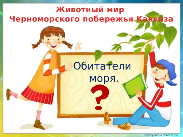 Животный мир  Черноморского побережья Кавказа Обитатели моря.
