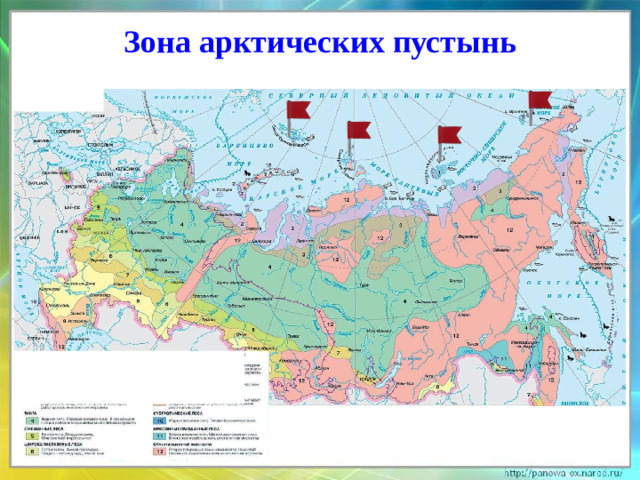 Зона арктических пустынь