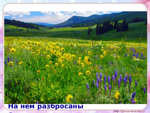 Бежит тропинка через луг, Ныряет влево, вправо. Куда ни глянь – цветы Да по колено травы. Зелёный луг, как чудный сад, Пахуч и свеж в часы рассвета. Красивых радужных цветов На нем разбросаны букеты.  И. Суриков