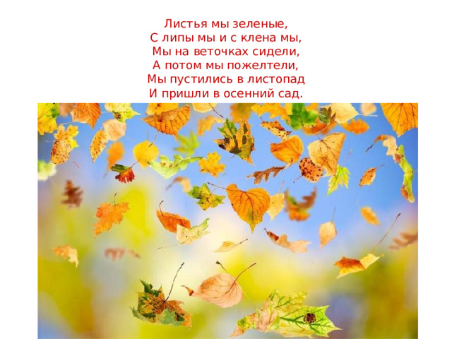Листья мы зеленые, С липы мы и с клена мы, Мы на веточках сидели, А потом мы пожелтели, Мы пустились в листопад И пришли в осенний сад.