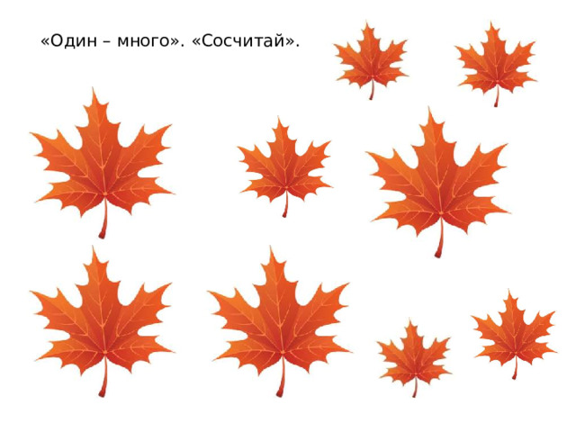 «Один – много». «Сосчитай».
