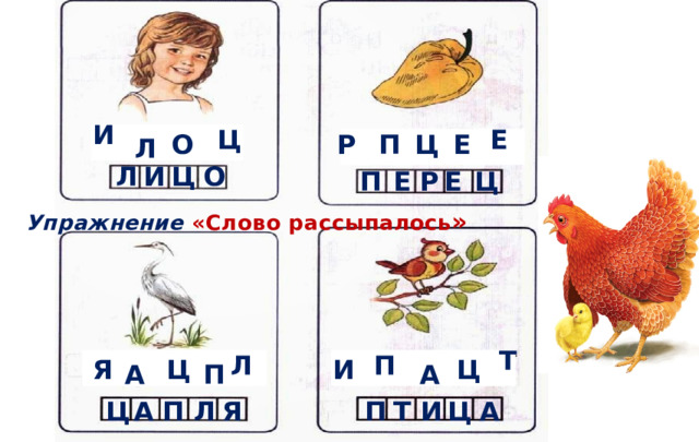 И Е Ц Е О Ц Р П Л О И Ц Л Е Е Ц Р П   Упражнение «Слово рассыпалось » Т Л П Ц Ц И Я А А П Ц П Л А Ц И Т П Я А