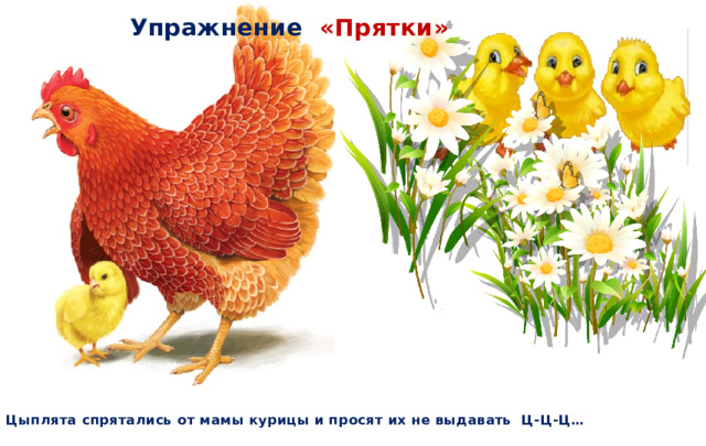 Упражнение «Прятки» Цыплята спрятались от мамы курицы и просят их не выдавать Ц-Ц-Ц…