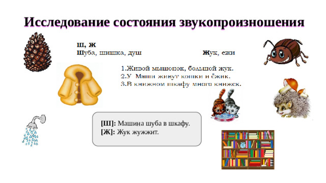 Исследование состояния звукопроизношения [Ш]: Машина шуба в шкафу. [Ж]: Жук жужжит.