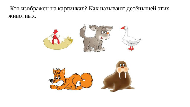 Кто изображен на картинках? Как называют детёнышей этих животных.