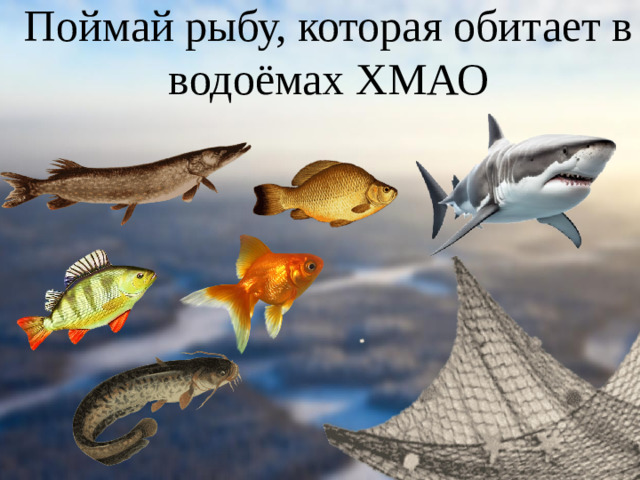 Поймай рыбу, которая обитает в водоёмах ХМАО
