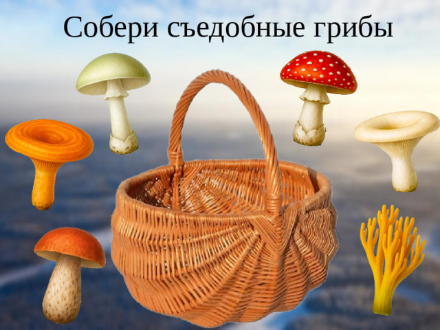 Собери съедобные грибы