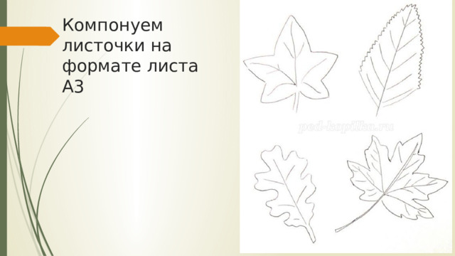 Компонуем листочки на формате листа А3