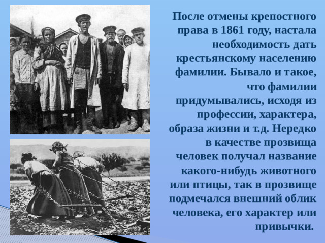 После отмены крепостного права в 1861 году, настала необходимость дать крестьянскому населению фамилии. Бывало и такое, что фамилии придумывались, исходя из профессии, характера, образа жизни и т.д. Нередко в качестве прозвища человек получал название какого-нибудь животного или птицы, так в прозвище подмечался внешний облик человека, его характер или привычки.
