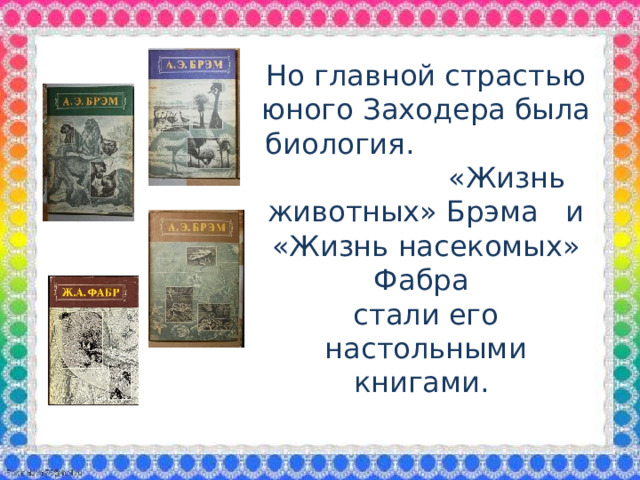 Но главной страстью юного Заходера была биология. «Жизнь животных» Брэма и «Жизнь насекомых» Фабра стали его настольными книгами.