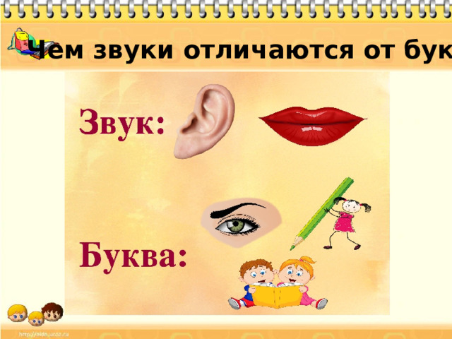 Чем звуки отличаются от букв?
