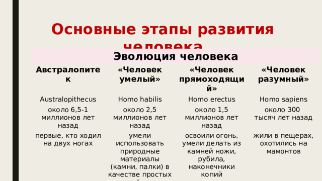 Основные этапы развития человека Эволюция человека Австралопитек «Человек умелый» Australopithecus Homo habilis около 6,5-1 «Человек прямоходящий» «Человек разумный» миллионов лет назад около 2,5 миллионов лет назад Homo erectus первые, кто ходил на двух ногах Homo sapiens около 1,5 миллионов лет назад умели использовать природные материалы (камни, палки) в качестве простых орудий труда около 300 освоили огонь, умели делать из камней ножи, рубила, наконечники копий тысяч лет назад жили в пещерах, охотились на мамонтов