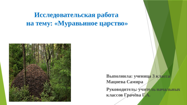 Исследовательская работа  на тему: «Муравьиное царство» Выполнила: ученица 3 класса Мациева Самира Руководитель: учитель начальных классов Грачёва Г.А.