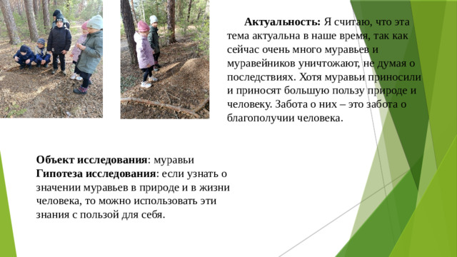 Актуальность: Я считаю, что эта тема актуальна  в наше время, так как сейчас очень много муравьев и муравейников уничтожают, не думая о последствиях. Хотя муравьи приносили и приносят большую пользу природе и человеку. Забота о них – это забота о благополучии человека. Объект исследования : муравьи Гипотеза исследования : если узнать о значении муравьев в природе и в жизни человека, то можно использовать эти знания с пользой для себя.