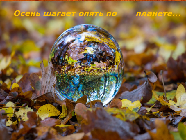 Осень шагает опять по планете...