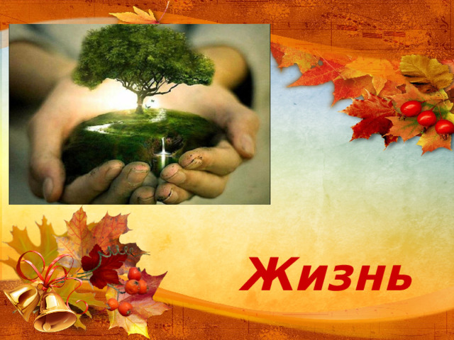 Жизнь
