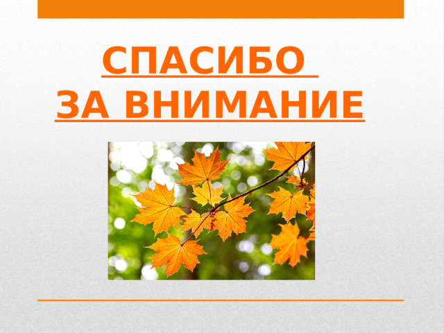 СПАСИБО ЗА ВНИМАНИЕ