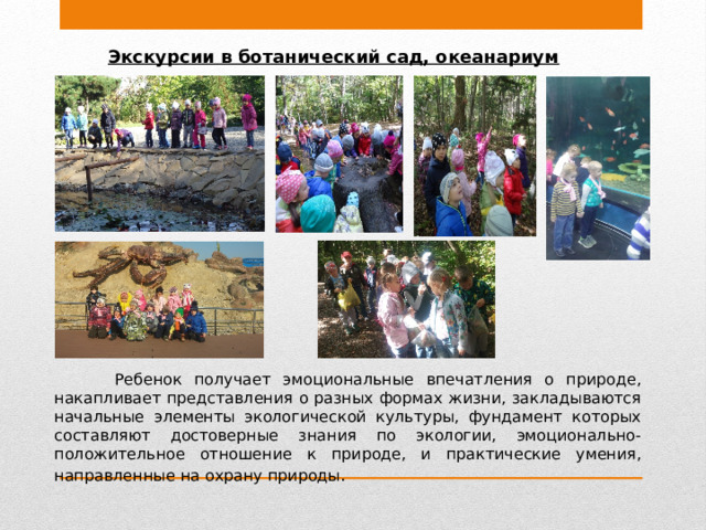 Экскурсии в ботанический сад, океанариум  Ребенок получает эмоциональные впечатления о природе, накапливает представления о разных формах жизни, закладываются начальные элементы экологической культуры, фундамент которых составляют достоверные знания по экологии, эмоционально-положительное отношение к природе, и практические умения, направленные на охрану природы .