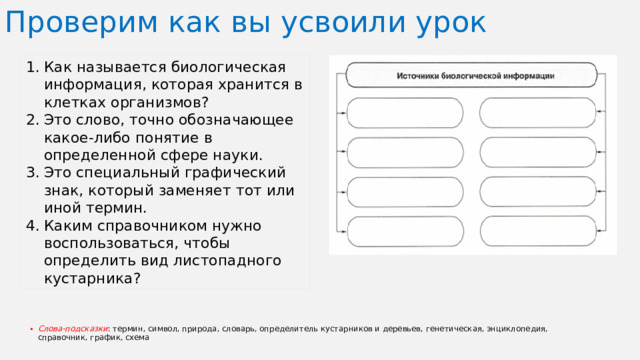 Проверим как вы усвоили урок