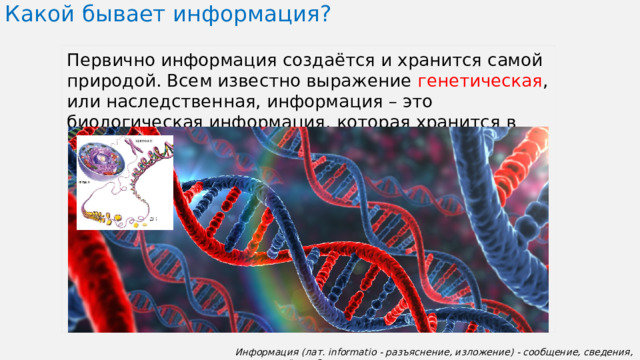 Какой бывает информация?   Первично информация создаётся и хранится самой природой. Всем известно выражение генетическая , или наследственная, информация – это биологическая информация, которая хранится в клетках организмов, и создана она самой природой. Информация (лат. informatio - разъяснение, изложение) - сообщение, сведения, знание о чём-либо