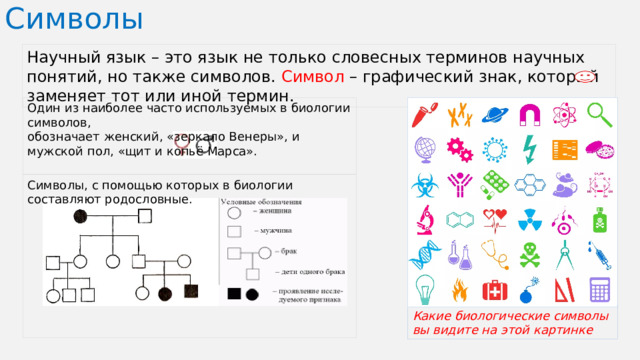 Символы Научный язык – это язык не только словесных терминов научных понятий, но также символов. Символ –  графический знак, который заменяет тот или иной термин. Один из наиболее часто используемых в биологии символов, обозначает женский, «зеркало Венеры», и мужской пол, «щит и копьё Марса». Символы, с помощью которых в биологии составляют родословные. Какие биологические символы вы видите на этой картинке