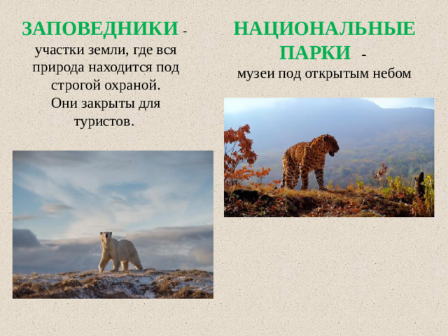 ЗАПОВЕДНИКИ  - участки земли, где вся природа находится под строгой охраной. НАЦИОНАЛЬНЫЕ ПАРКИ  - Они закрыты для туристов. музеи под открытым небом
