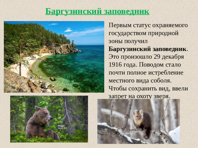 Баргузинский заповедник Первым статус охраняемого государством природной зоны получил Баргузинский заповедник . Это произошло 29 декабря 1916 года. Поводом стало почти полное истребление местного вида соболя. Чтобы сохранить вид, ввели запрет на охоту зверя.