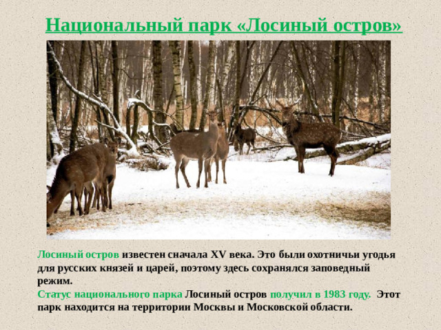 Национальный парк «Лосиный остров» Лосиный остров известен сначала XV века. Это были охотничьи угодья для русских князей и царей, поэтому здесь сохранялся заповедный режим. Статус национального парка Лосиный остров получил в 1983 году. Этот парк находится на территории Москвы и Московской области.