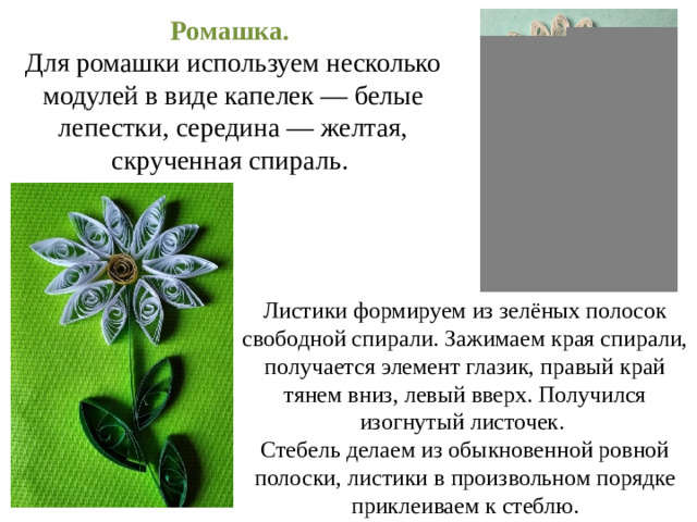 Ромашка. Для ромашки используем несколько модулей в виде капелек — белые лепестки, середина — желтая, скрученная спираль. Листики формируем из зелёных полосок свободной спирали. Зажимаем края спирали, получается элемент глазик, правый край тянем вниз, левый вверх. Получился изогнутый листочек. Стебель делаем из обыкновенной ровной полоски, листики в произвольном порядке приклеиваем к стеблю.