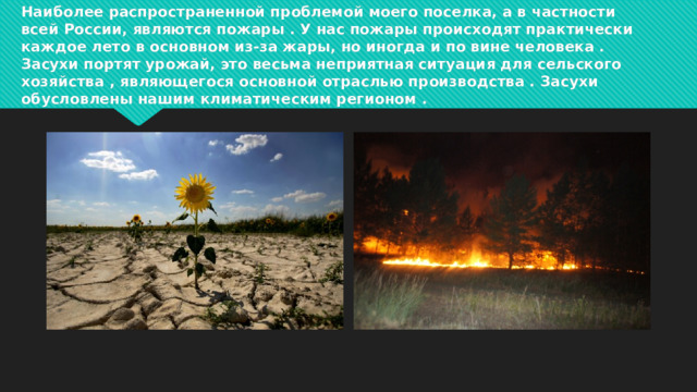 Наиболее распространенной проблемой моего поселка, а в частности всей России, являются пожары . У нас пожары происходят практически каждое лето в основном из-за жары, но иногда и по вине человека . Засухи портят урожай, это весьма неприятная ситуация для сельского хозяйства , являющегося основной отраслью производства . Засухи обусловлены нашим климатическим регионом .