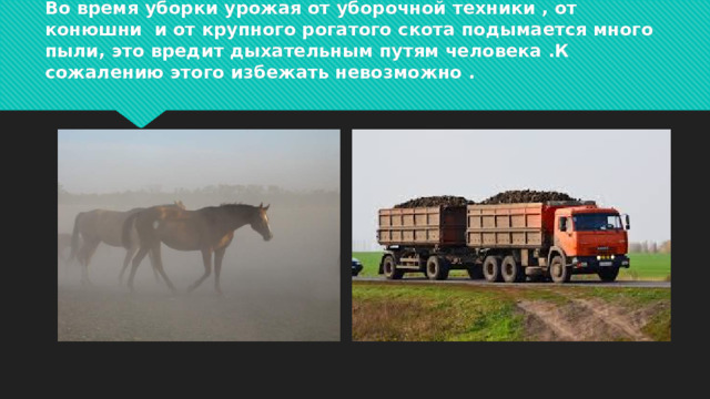 Во время уборки урожая от уборочной техники , от конюшни и от крупного рогатого скота подымается много пыли, это вредит дыхательным путям человека .К сожалению этого избежать невозможно .