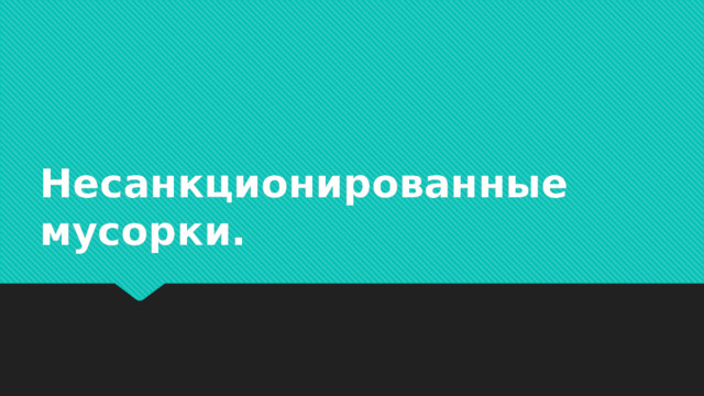 Несанкционированные мусорки.