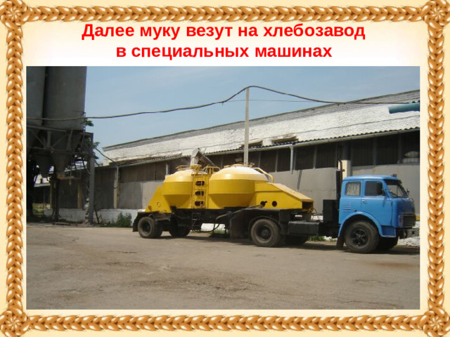 Далее муку везут на хлебозавод  в специальных машинах .
