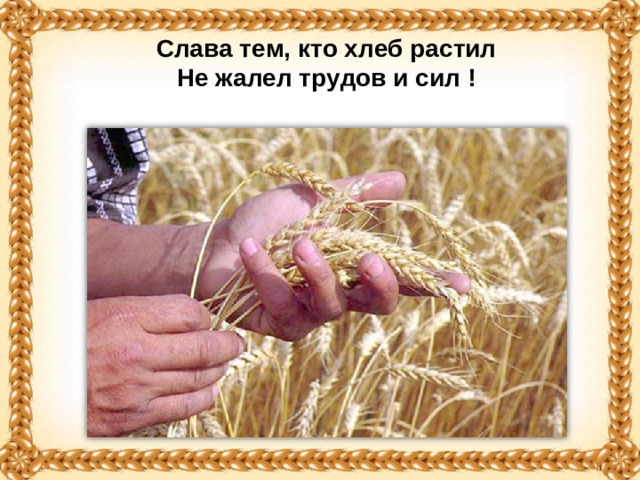 Слава тем, кто хлеб растил Не жалел трудов и сил !