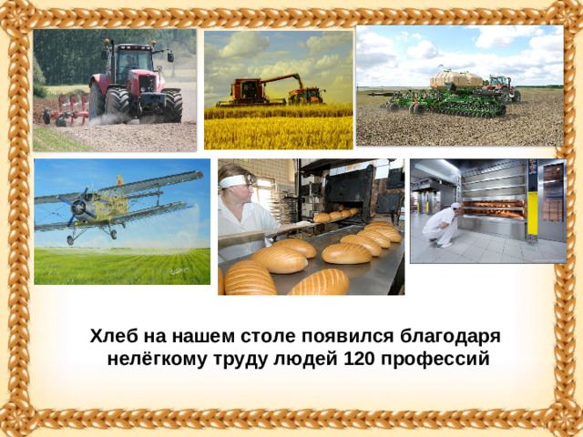 Хлеб на нашем столе появился благодаря нелёгкому труду людей 120 профессий