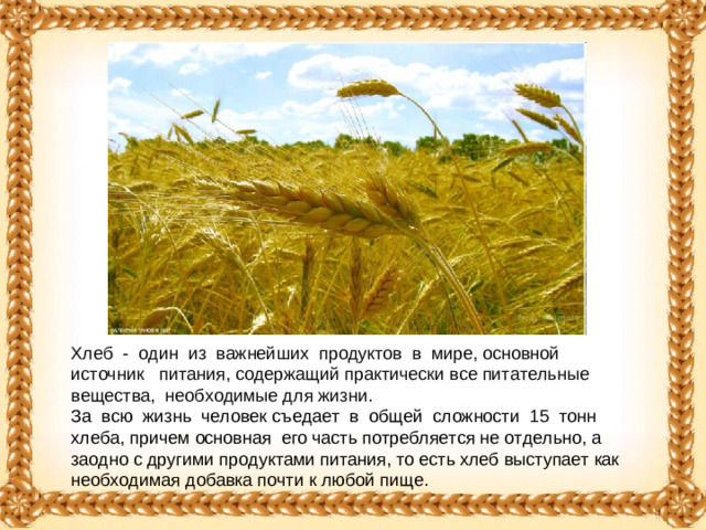 Хлеб - один из важнейших продуктов в мире, основной источник питания, содержащий практически все питательные вещества, необходимые для жизни.  За всю жизнь человек съедает в общей сложности 15 тонн хлеба, причем основная его часть потребляется не отдельно, а заодно с другими продуктами питания, то есть хлеб выступает как необходимая добавка почти к любой пище.