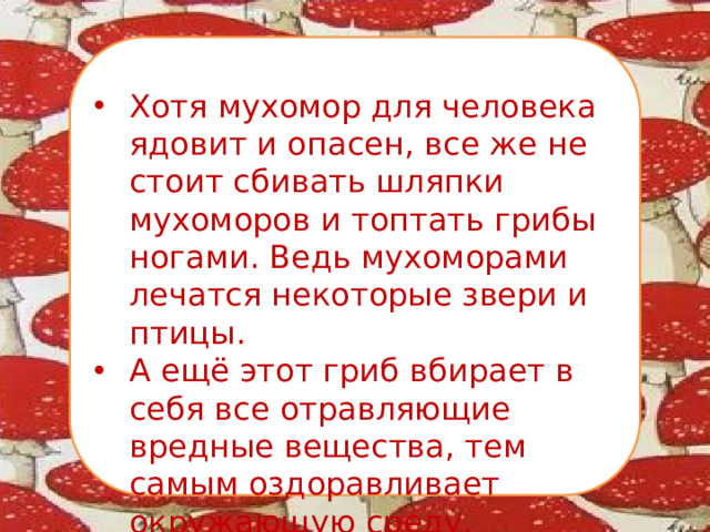 Хотя мухомор для человека ядовит и опасен, все же не стоит сбивать шляпки мухоморов и топтать грибы ногами. Ведь мухоморами лечатся некоторые звери и птицы. А ещё этот гриб вбирает в себя все отравляющие вредные вещества, тем самым оздоравливает окружающую среду.