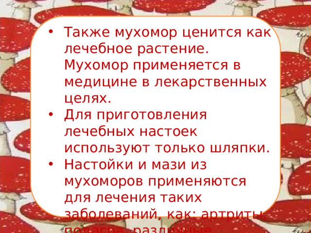 Также мухомор ценится как лечебное растение. Мухомор применяется в медицине в лекарственных целях. Для приготовления лечебных настоек используют только шляпки. Настойки и мази из мухоморов применяются для лечения таких заболеваний, как: артриты, подагра, различные опухоли, экземы, ревматические боли.
