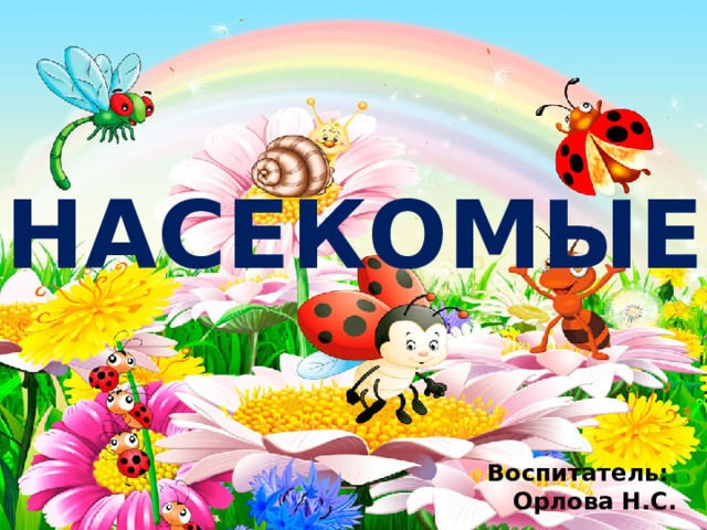 НАСЕКОМЫЕ Воспитатель: Орлова Н.С.