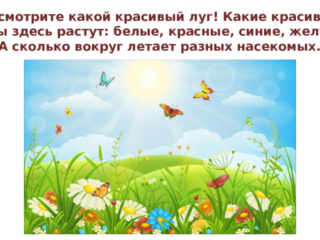 Посмотрите какой красивый луг! Какие красивые цветы здесь растут: белые, красные, синие, желтые. А сколько вокруг летает разных насекомых.