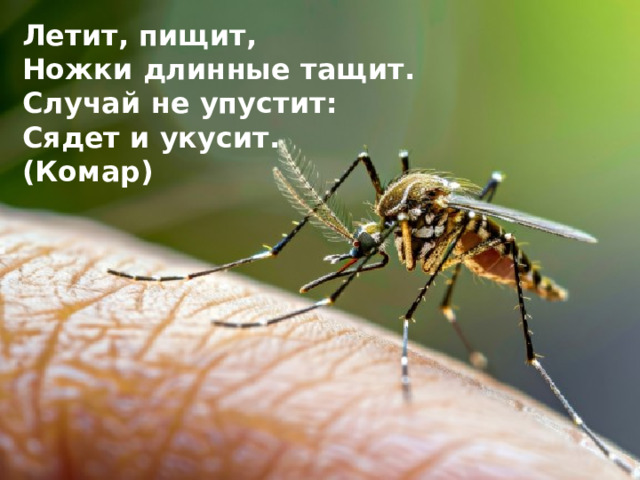 Летит, пищит, Ножки длинные тащит. Случай не упустит: Сядет и укусит. (Комар)