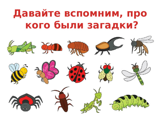 Давайте вспомним, про кого были загадки?
